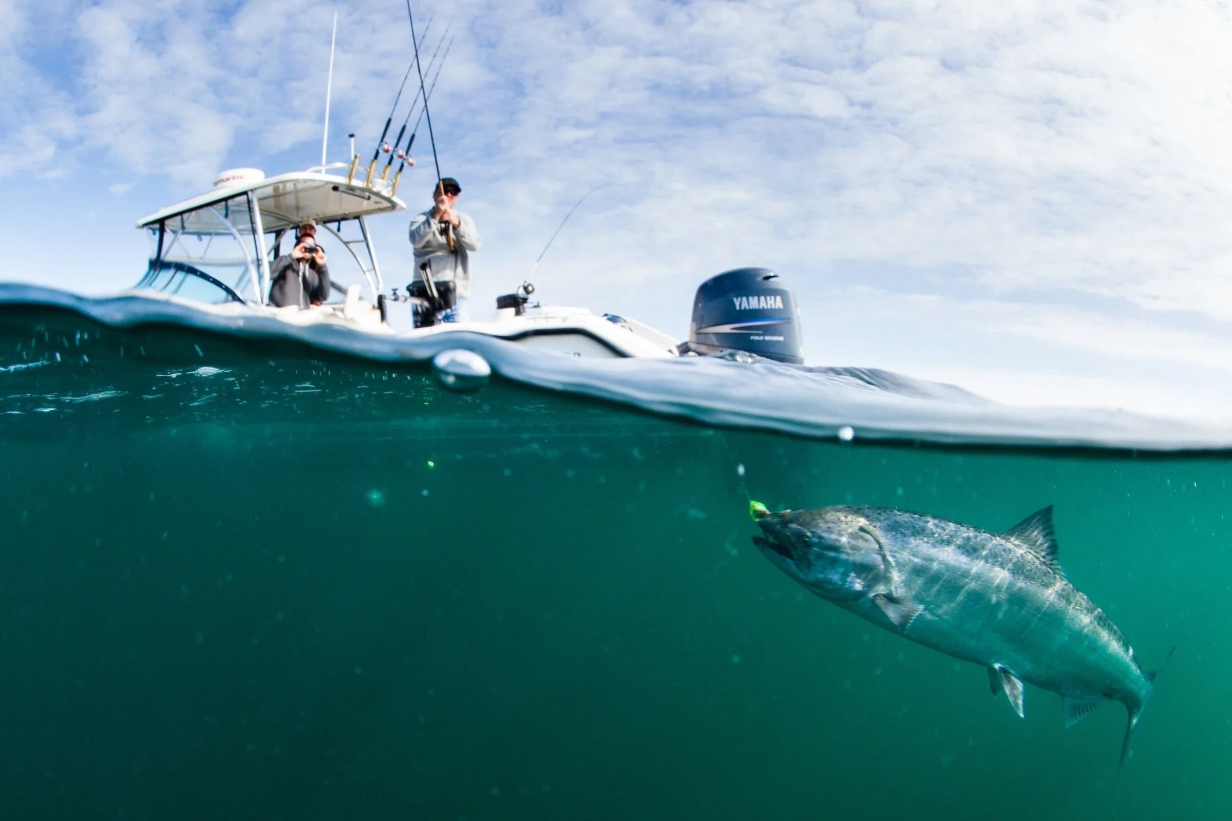 All Saltwater Reels automatic - tag saltwater reels