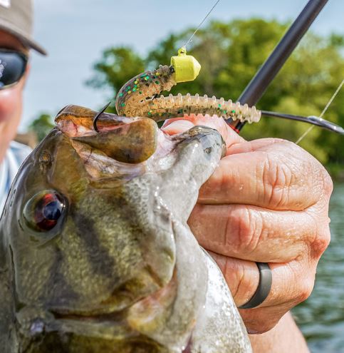 Rapala Crush City Ned Blt Soft Bait