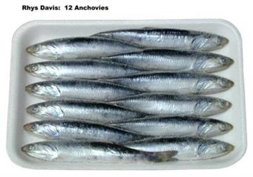 Rhys Davis Frozen Anchovy Bait