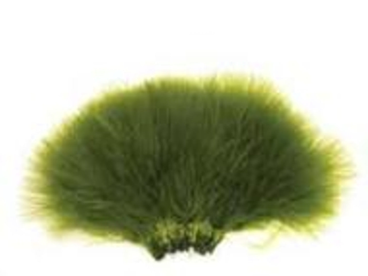 Wapsi Strung Blood Quill Marabou 1/4oz