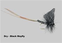 Black Mayfly