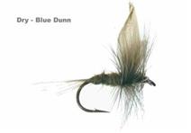 Blue Dunn