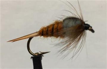 STONEFLY NYMPH