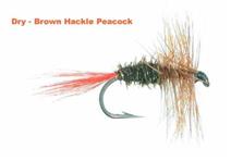 Brown Hackle Peacock - Fly Deal Flies
