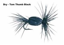TOM THUMB BLACK