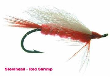 STEELHEAD SHRIMP RED