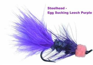 Egg Sucking Leech- purple