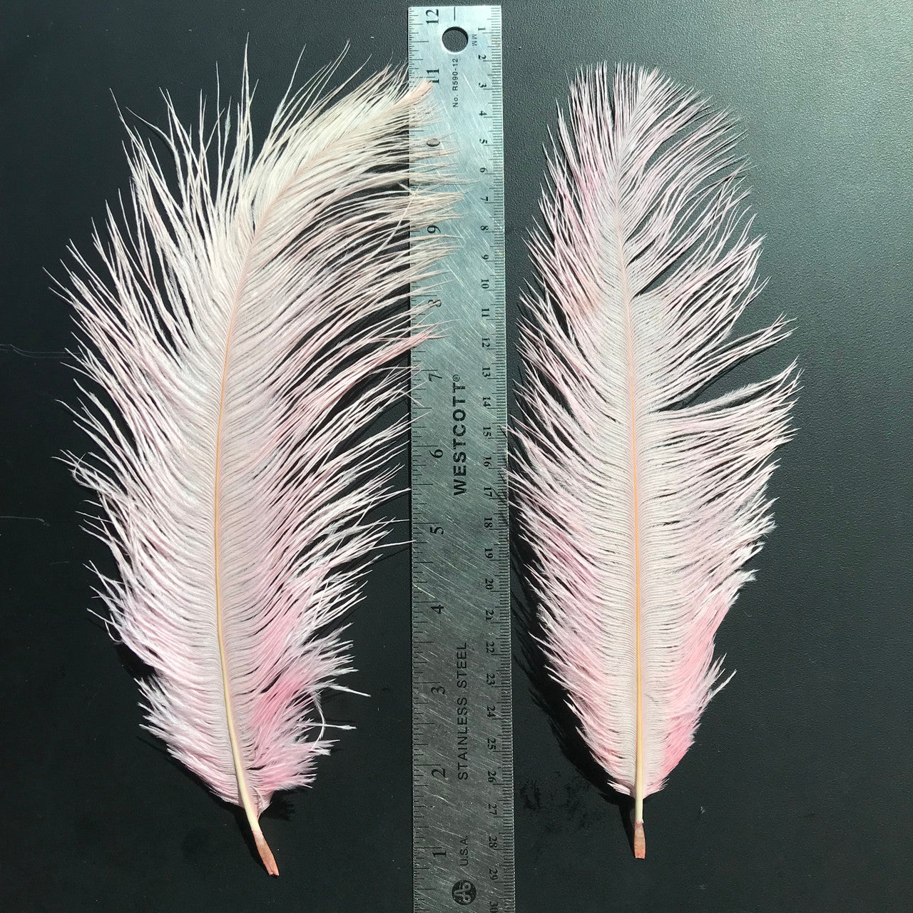 Fly Angler Ostrich Spey Plumes Medium Pink - Main Image