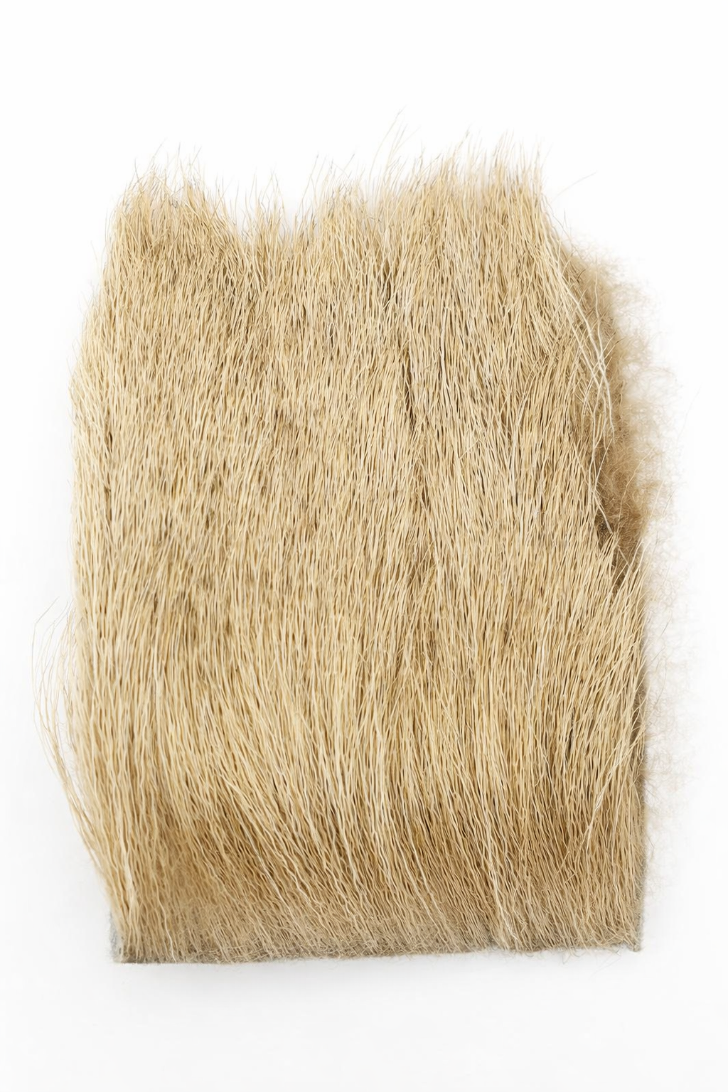 Elk Body Hair