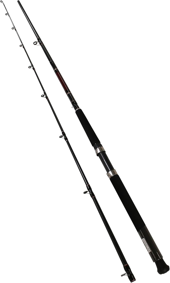 Daiwa Wilderness Downrigger Trolling Rod - 9 ft. 6 in. Medium Heavy