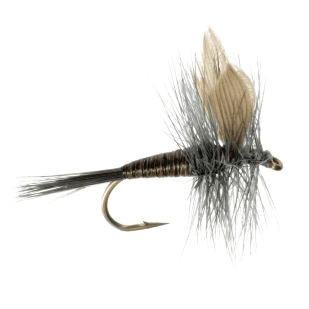 Blue Quill Fly