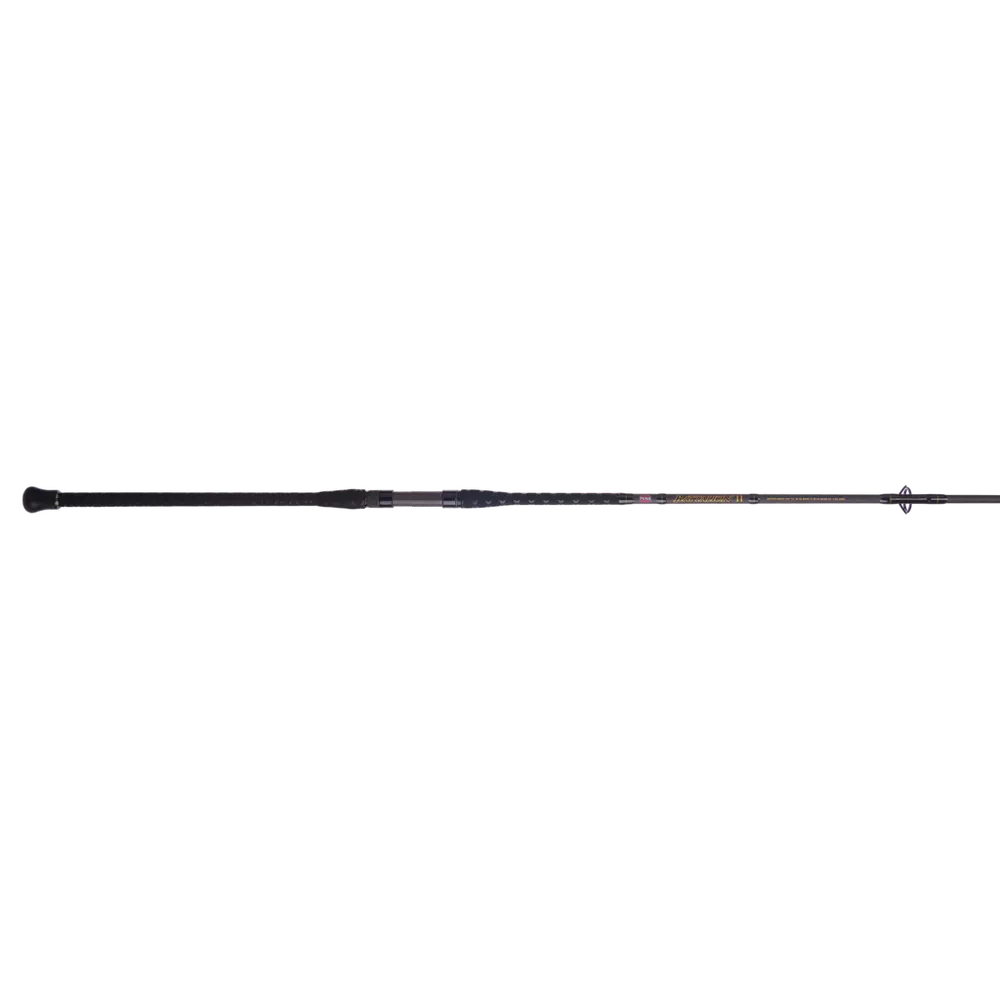 Penn Battalion II Surf Spinning Rods