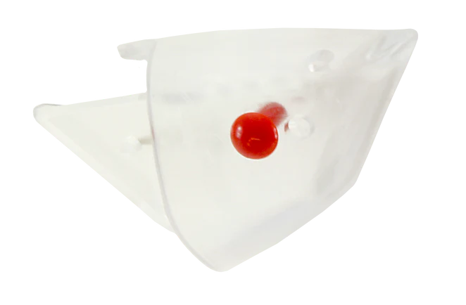 Rhys Davis Anchovy Special Teaser Head