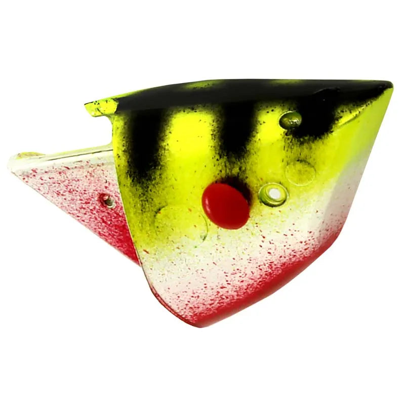 Rhys Davis Anchovy Special Teaser Head