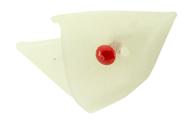 Rhys Davis Anchovy Special Teaser Head