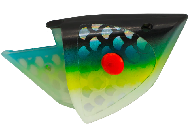 Rhys Davis Anchovy Special Teaser Head