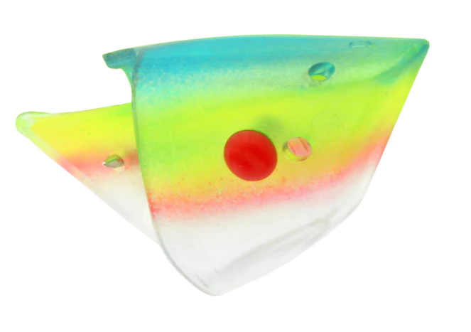 Rhys Davis Anchovy Special Teaser Head