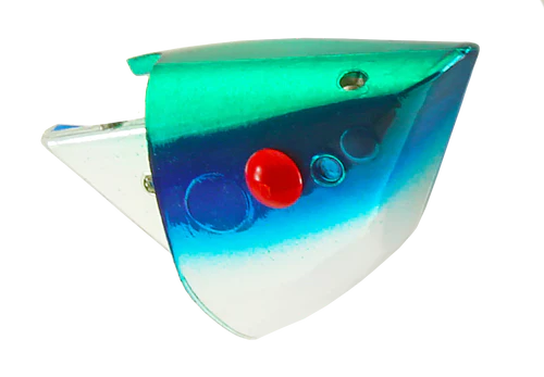 Rhys Davis Anchovy Special Teaser Head