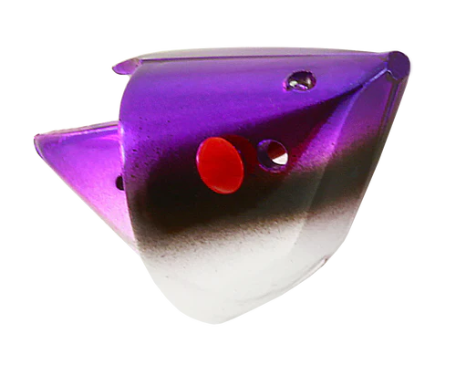 Rhys Davis Anchovy Special Teaser Head