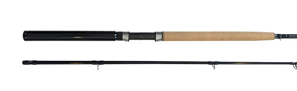 Reef Downrigger Mooching Rod