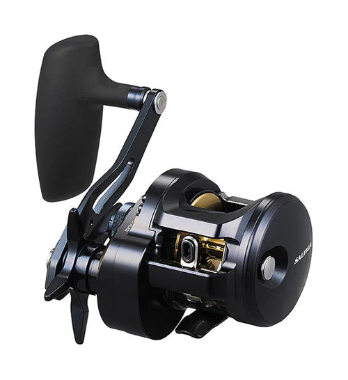 Daiwa 2025 Saltiga 300H