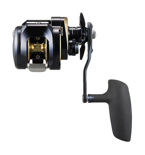 Daiwa 2025 Saltiga 300H