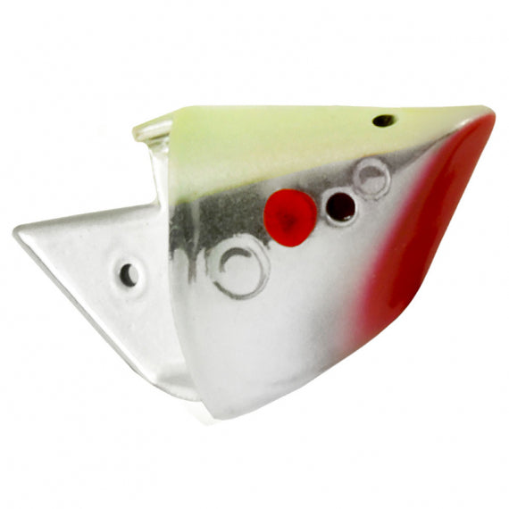 Rhys Davis Anchovy Special Teaser Head