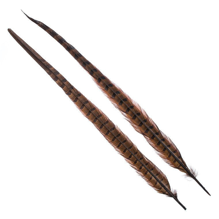 Wapsi Ringneck Pheasant Tail Feathers