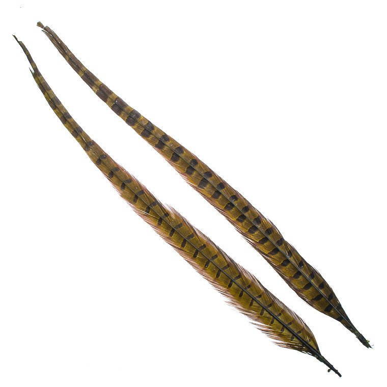 Wapsi Ringneck Pheasant Tail Feathers