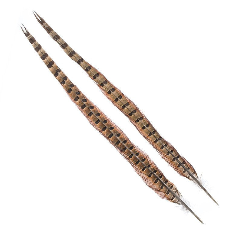 Wapsi Ringneck Pheasant Tail Feathers