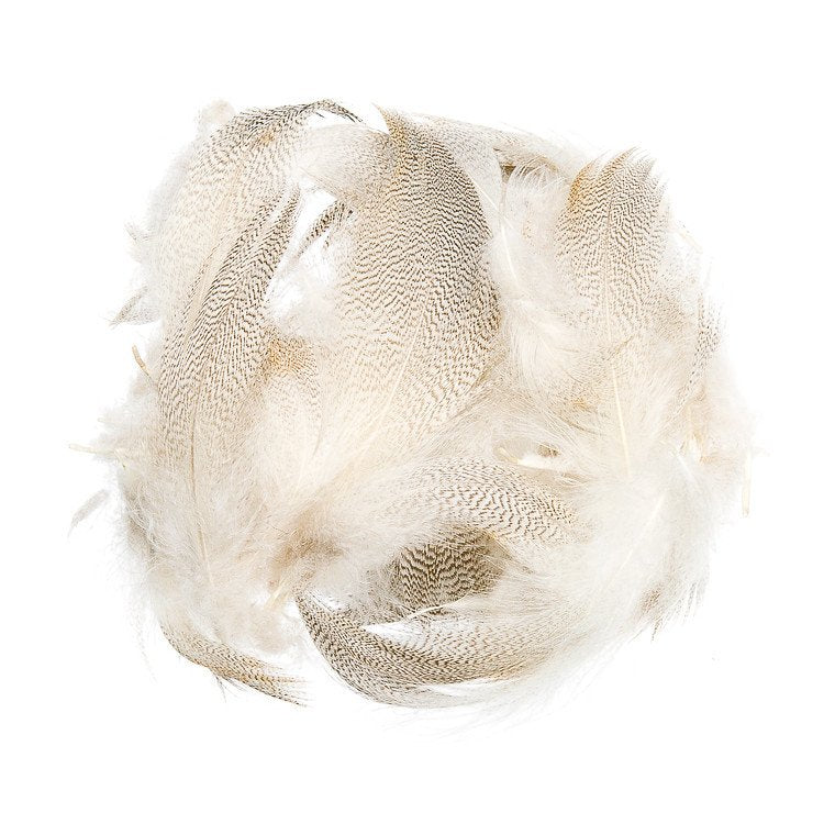 Wapsi Mallard Barred Flank