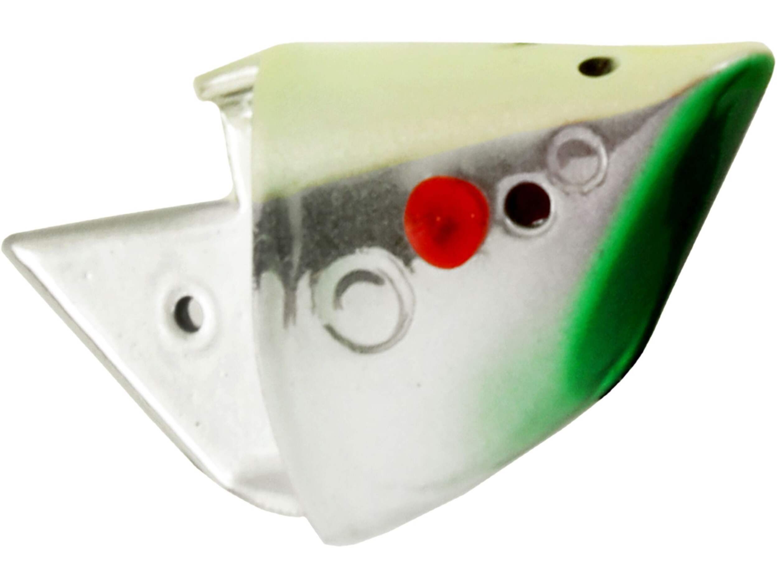 Rhys Davis Anchovy Special Teaser Head