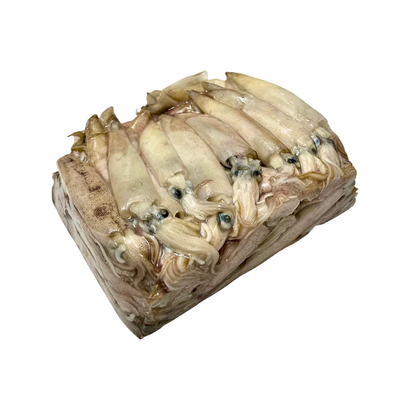 Wholesale Frozen Bait Squid Per Case