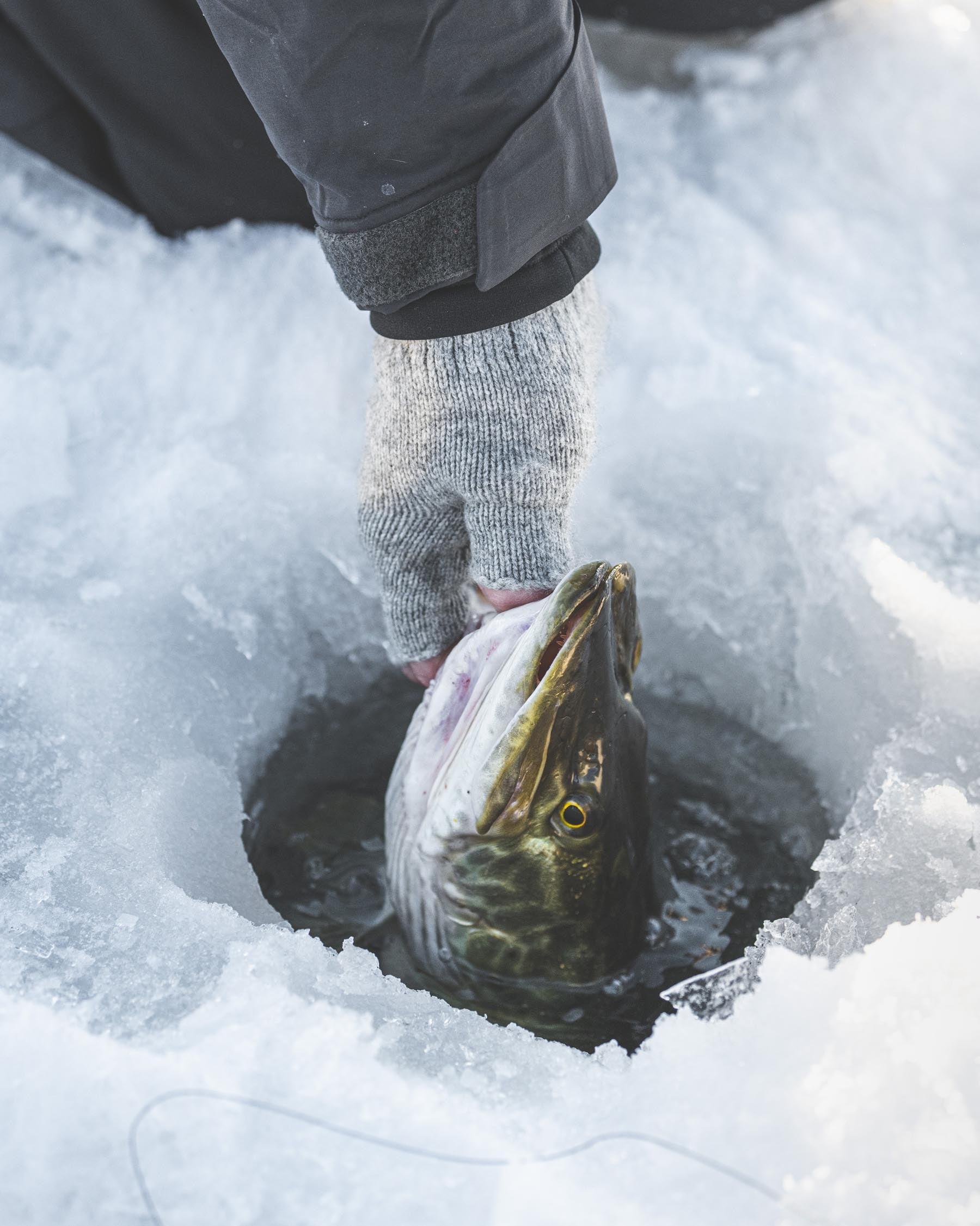 Simms Wool Half-Finger Glove