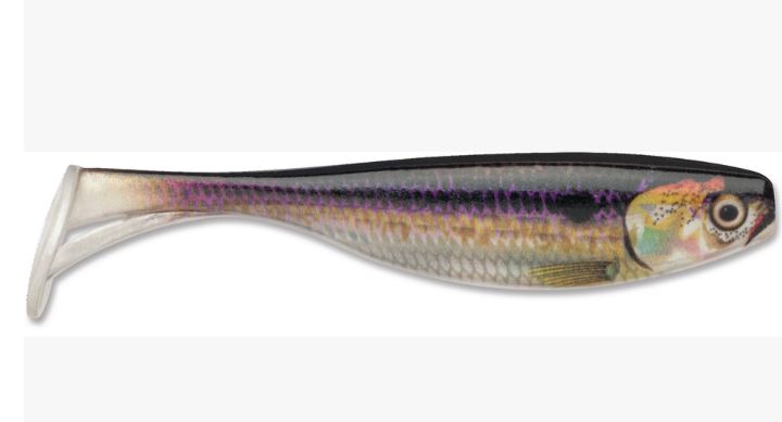 Storm Largo Shad Swimbait