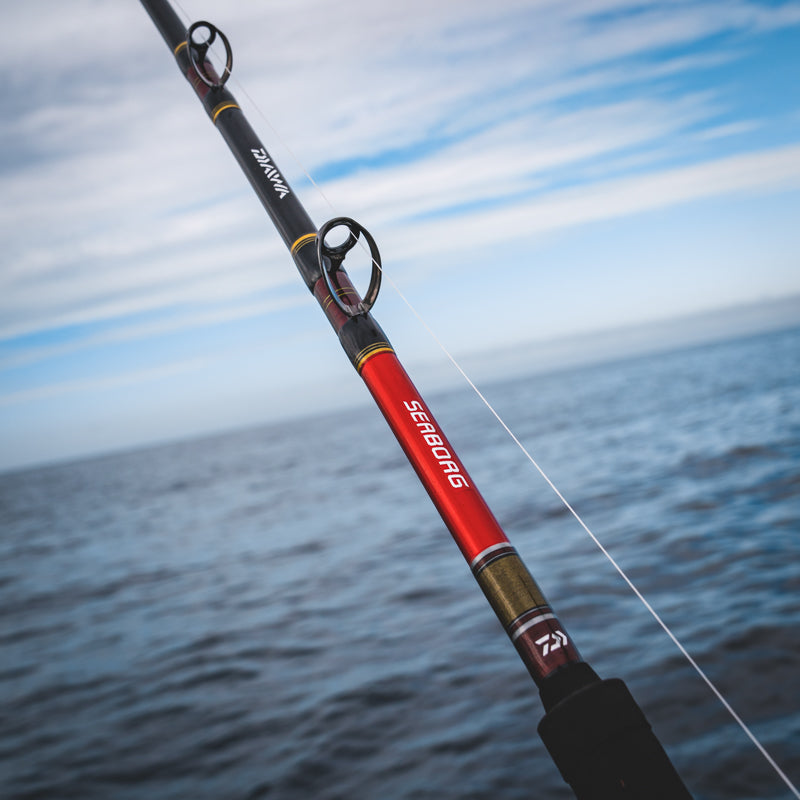 Daiwa Seaborg Dendoh Rod