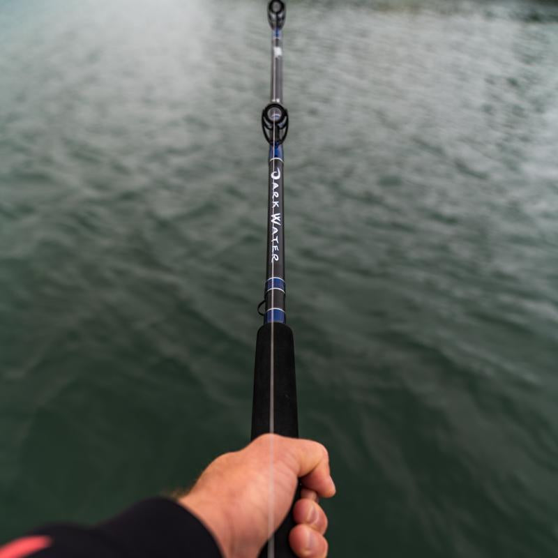 Daiwa Darkwater Rods