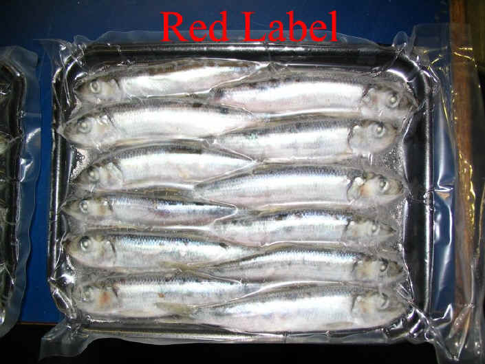 STORE Red Herring, Frozen Herring, Red Label Herring 5 1/2"-6"