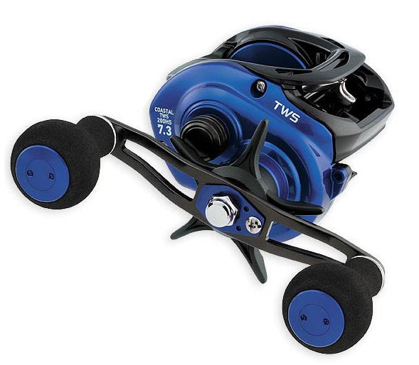Daiwa Coastal TW200 Baitcasting Reel