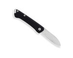 Buck 250 Saunter Drop Point Knife