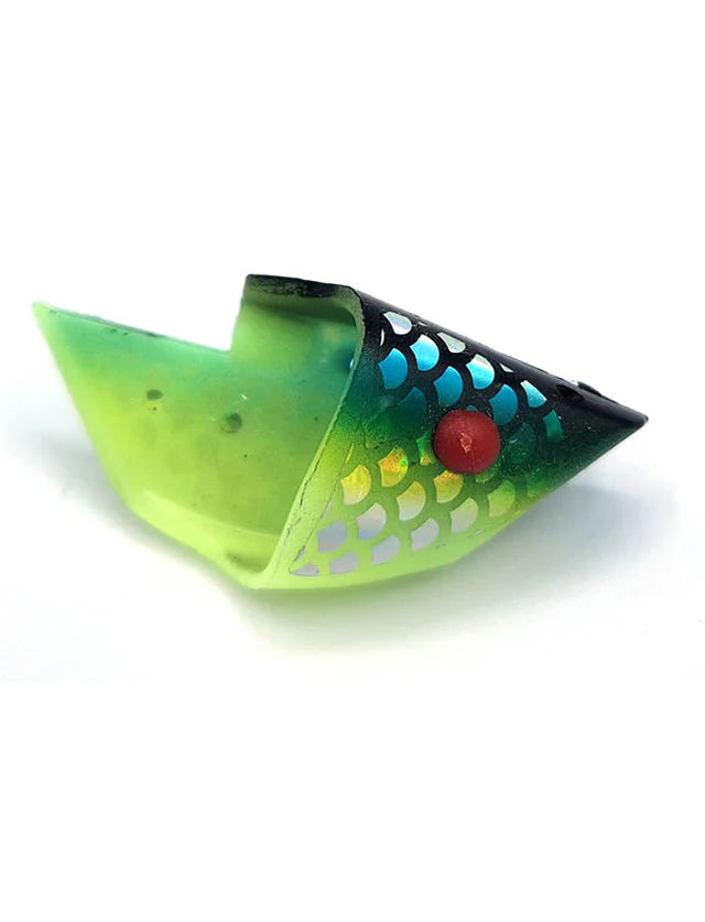 Rhys Davis Anchovy Special Teaser Head