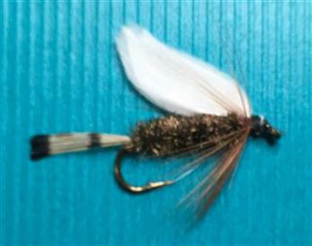 COACHMAN BUCKTAIL