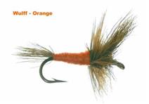 ORANGE WULFF