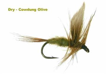 COWDUNG OLIVE