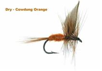 COWDUNG ORANGE