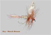 MARCH BROWN