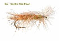 CADDIS TIED DOWN