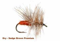 SEDGE BROWN