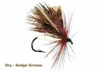 SEDGE GROUSE