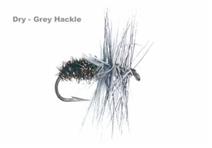 GREY HACKLE